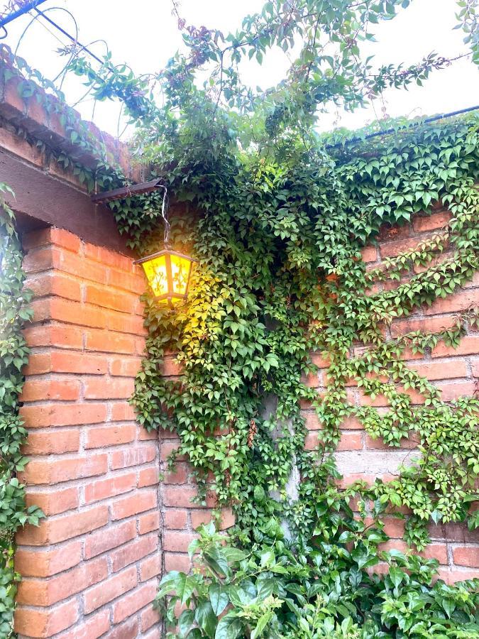 Entre Tejas Leilighet Concepción de Ataco Eksteriør bilde